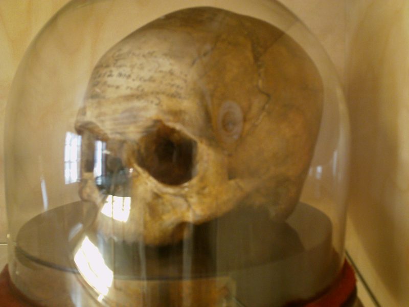 crane-musee-descartes