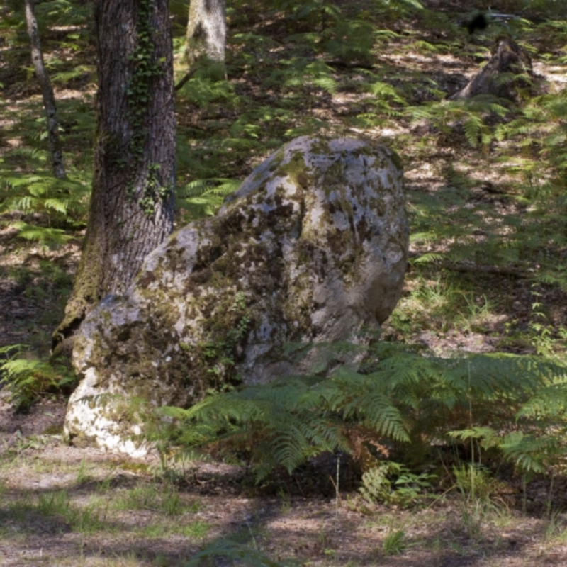 pierre-frite-de-grandmont