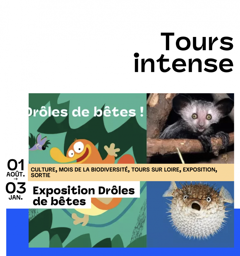 Expositions à Tours